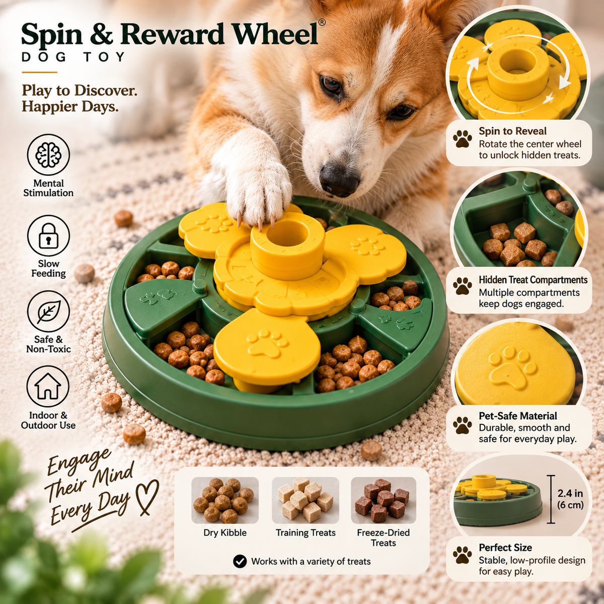 Spin &amp; Reward Wheel®