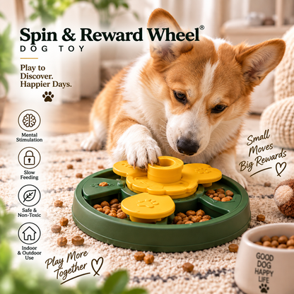 Spin &amp; Reward Wheel®